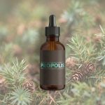 Organik Saf Propolis Damla 22 ml Çam Ardıç Dalı Arka Planlı